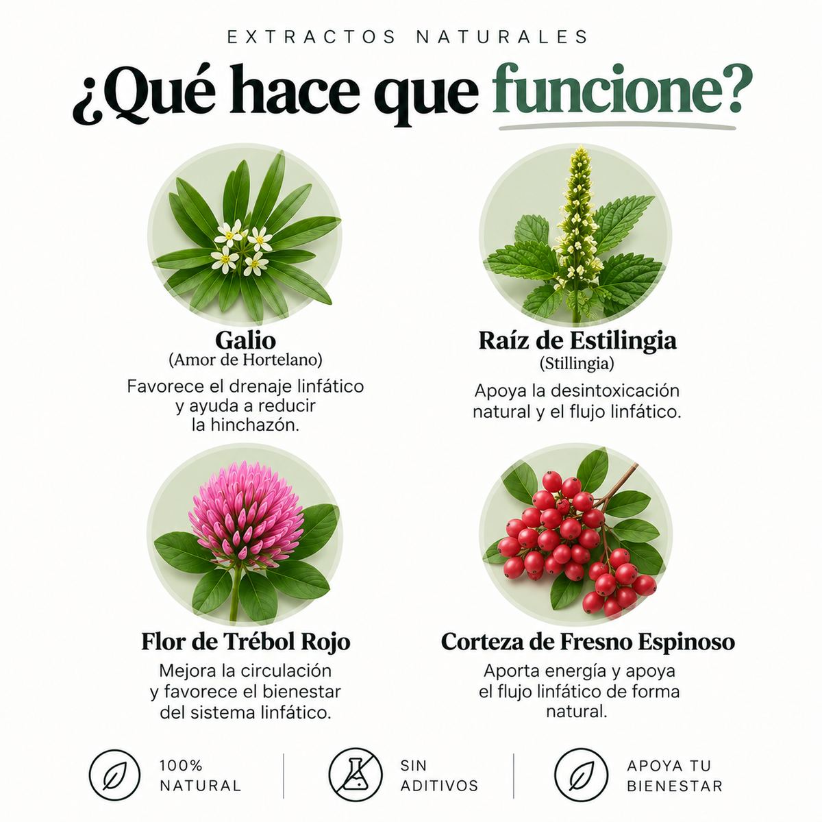 LYMPHATIC DRENAJE LINFATICO X 60 ML